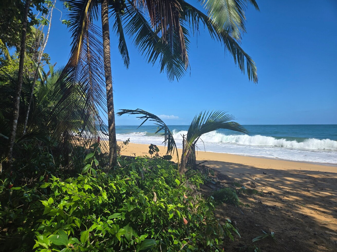 Playa Bluff景点图片
