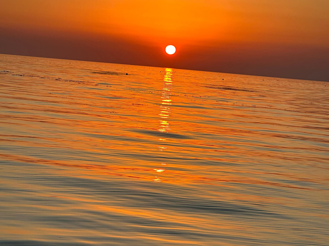 Wakezone Watersports South Inc景点图片