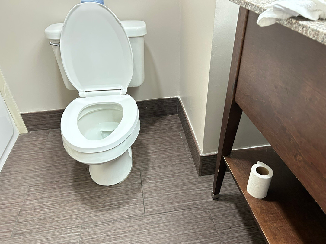 Hamilton Inn Bessemer主图