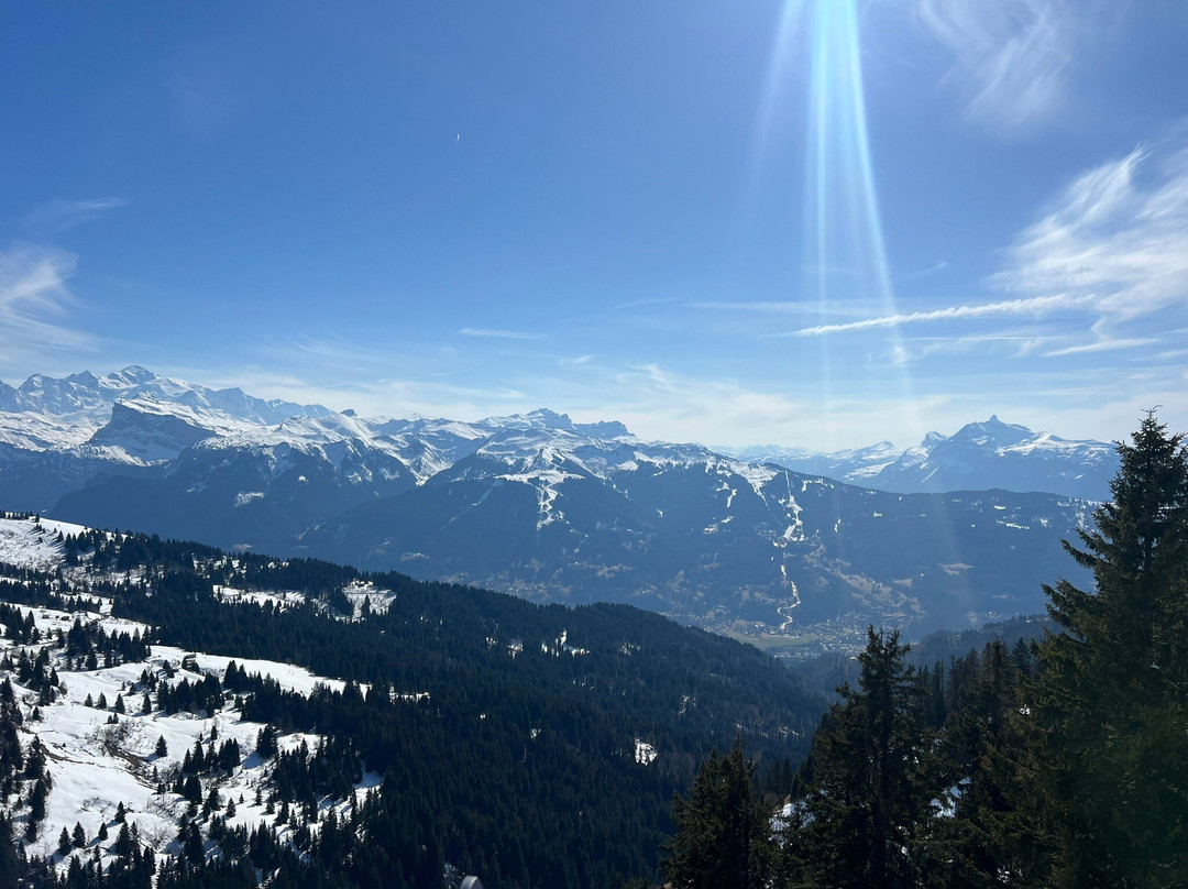 PowderCab Alpine Transfers-莫尔济讷必去景点