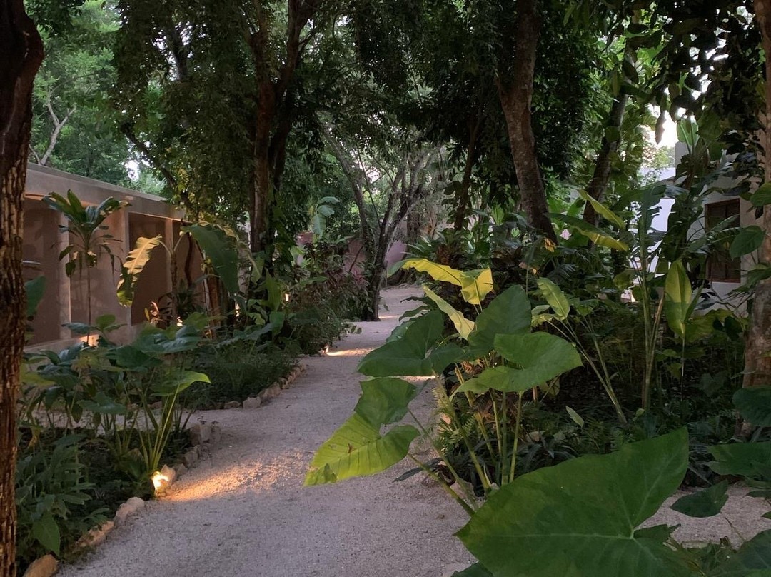 Cetro Hotel Boutique主图