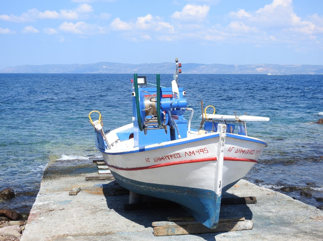 Anaxos Beach景点图片