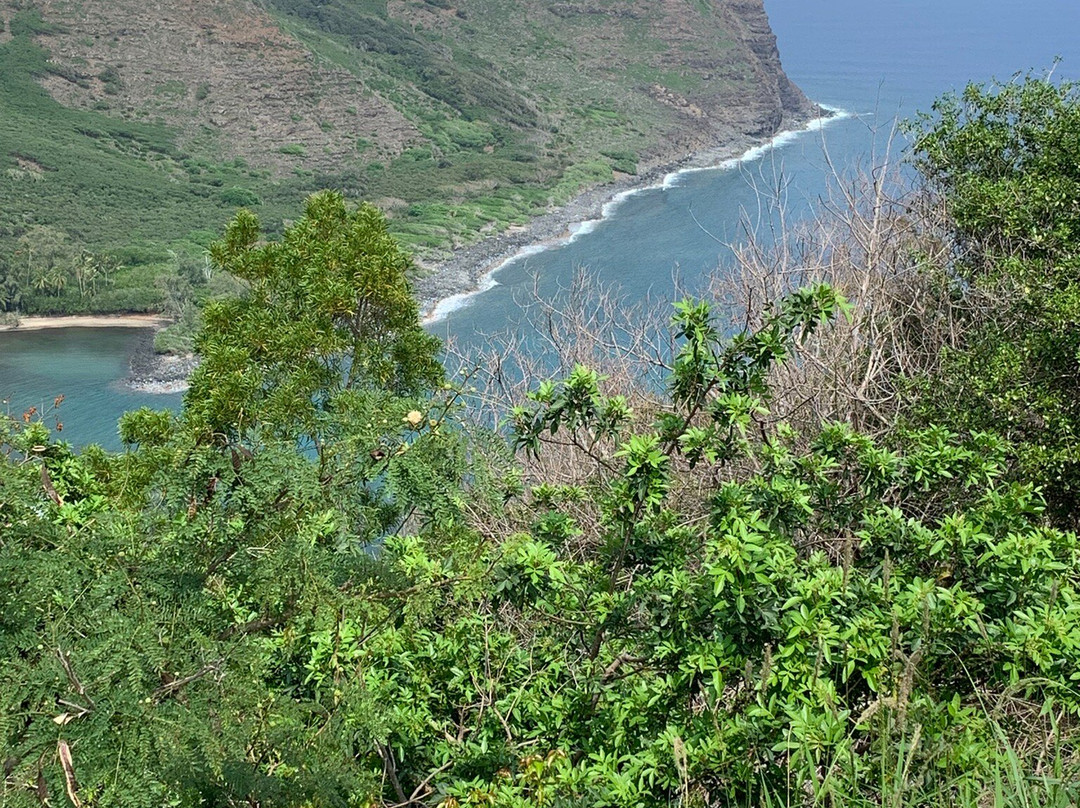 Halawa Falls-摩洛凯岛必去景点