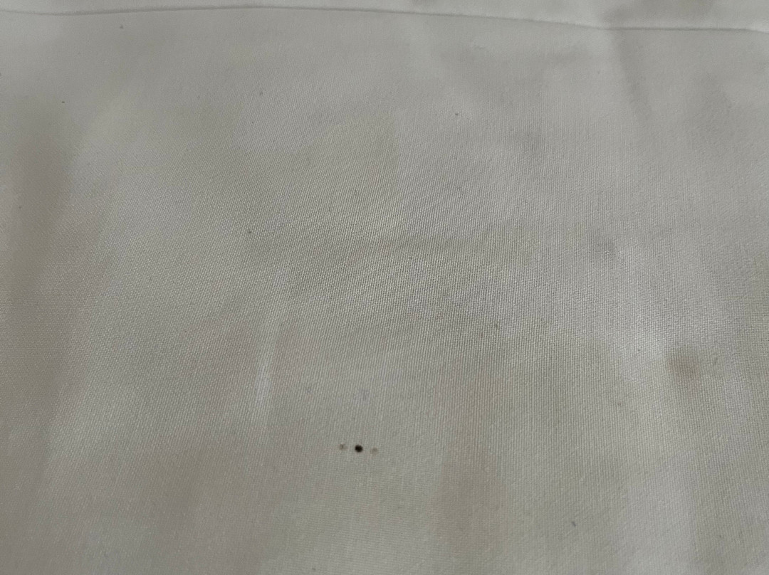 Star Anglia Hotel主图