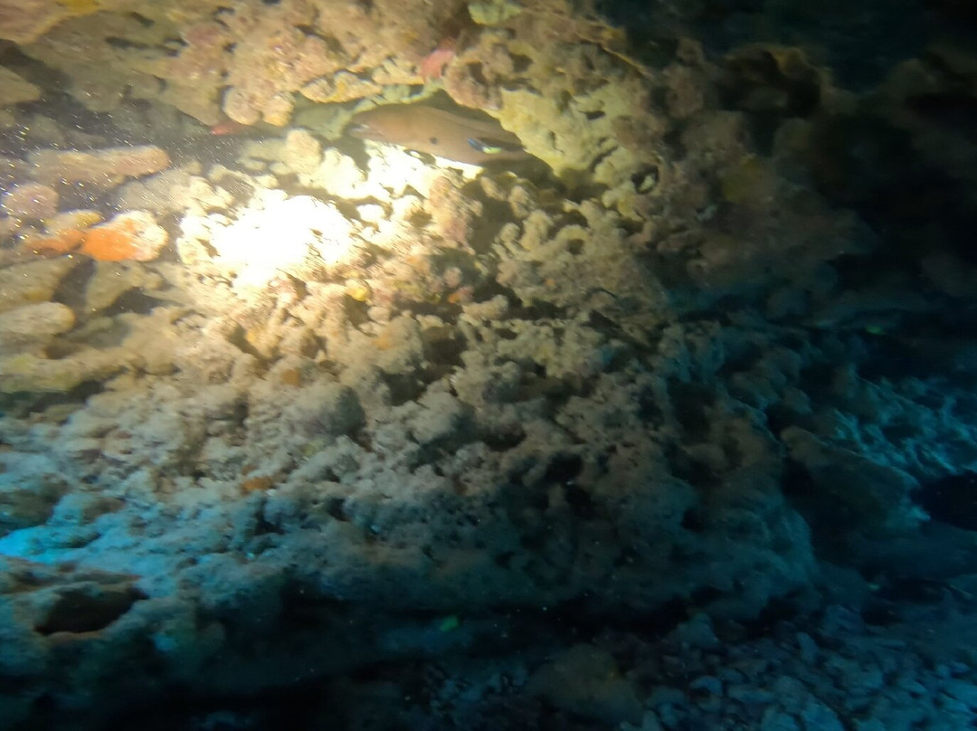 Bora Diving Center (by Eleuthera)-波拉波拉岛必去景点