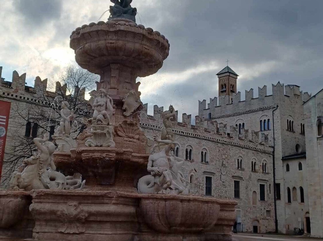 Fontana del Nettuno景点图片