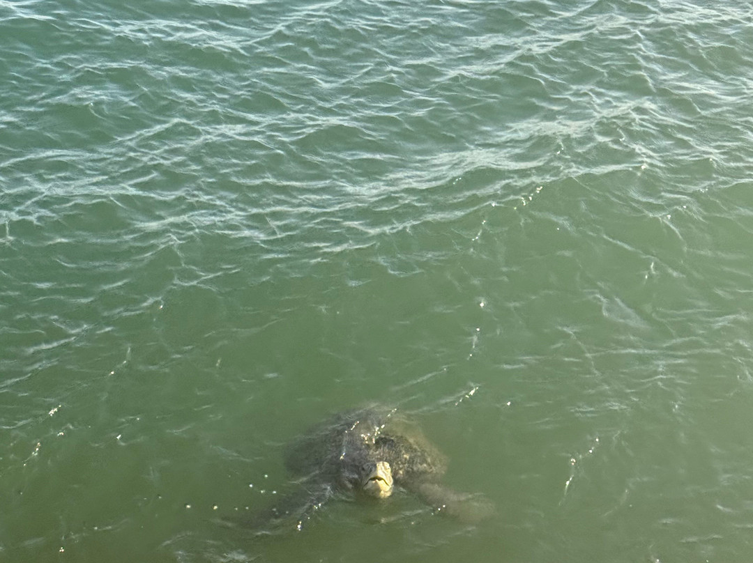 Casa Maria Resort主图