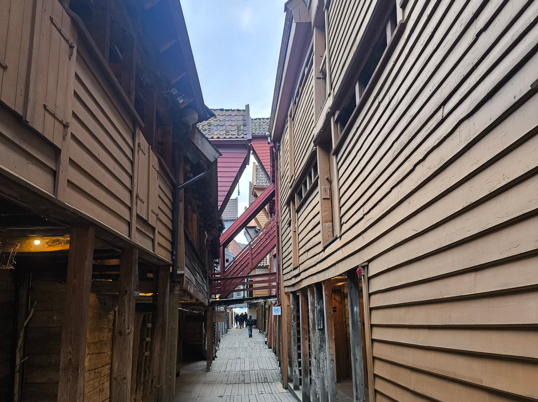DMG Gallery-卑尔根必去景点