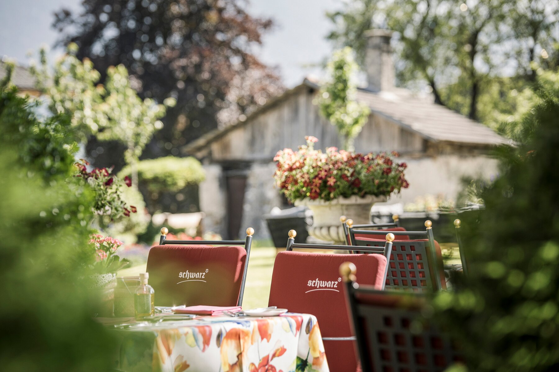 Alpenresort Schwarz-餐饮