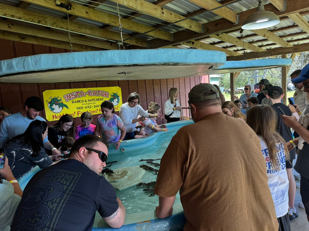 Insta-Gator Ranch & Hatchery-卡温顿必去景点