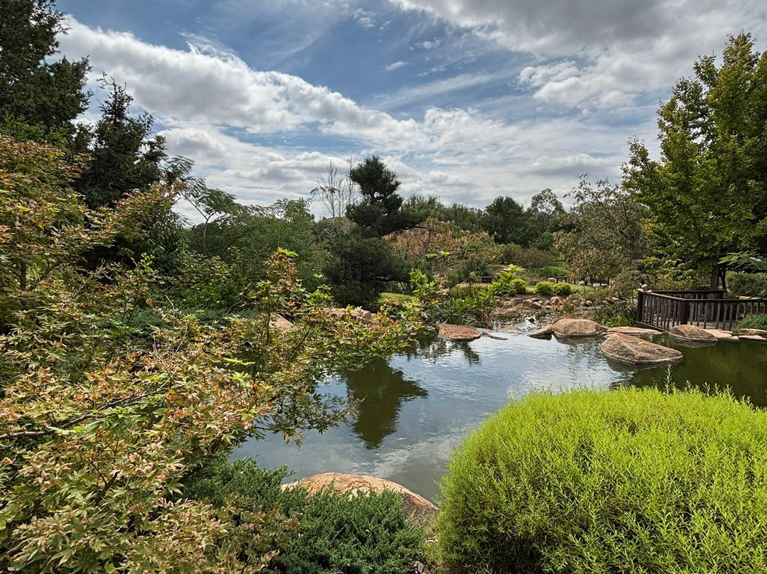 Dubbo Regional Botanic Gardens Adventure Playground-达博必去景点