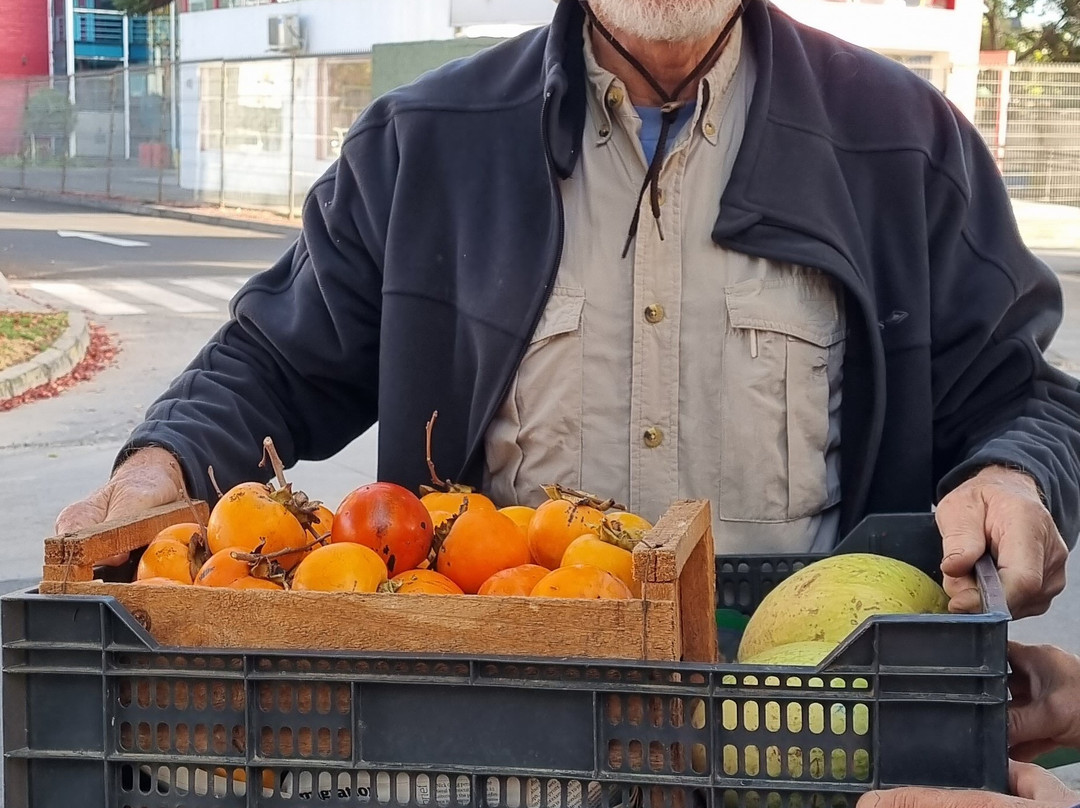 Ecoferia-圣地亚哥必去景点