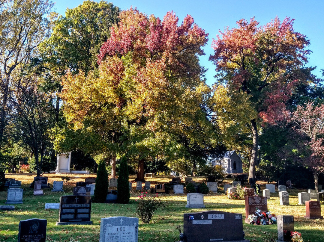 Woodlawn Cemetery-布朗克斯必去景点