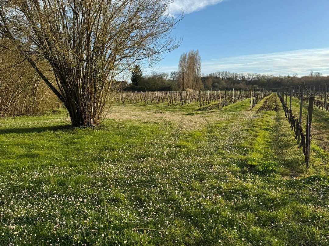 Chateau L'Eperon-Verac必去景点