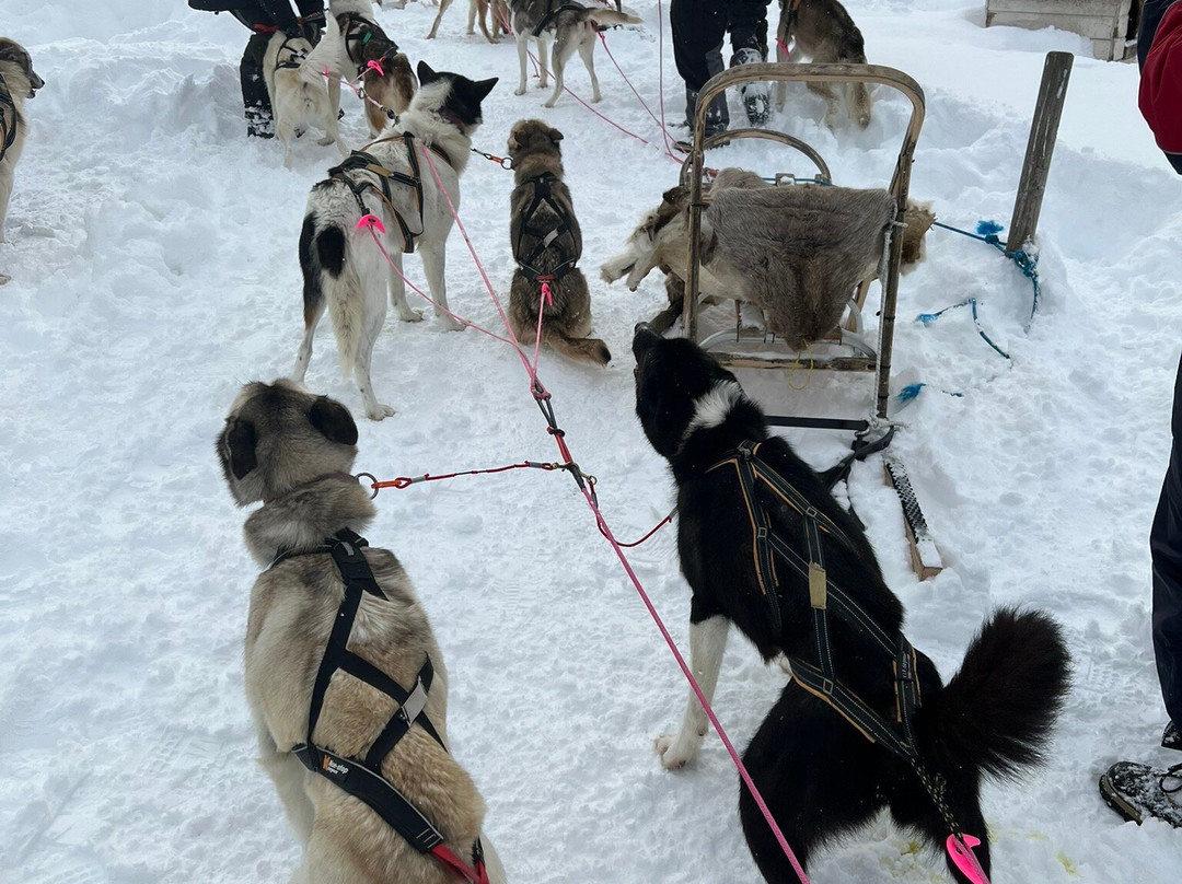 Hasselberg Husky AS-Storslett必去景点