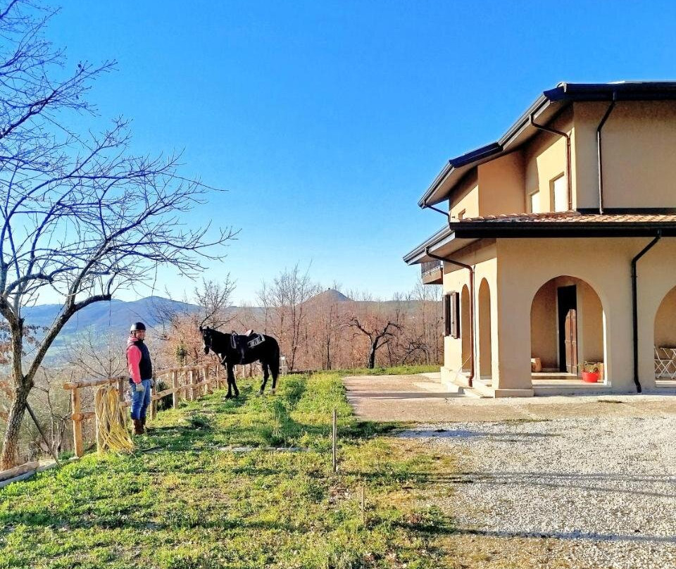 B&B Bosco Ralle