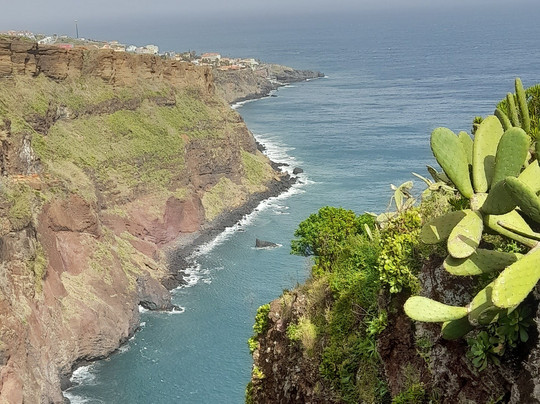 Madeira Electric Tours-沙尔必去景点
