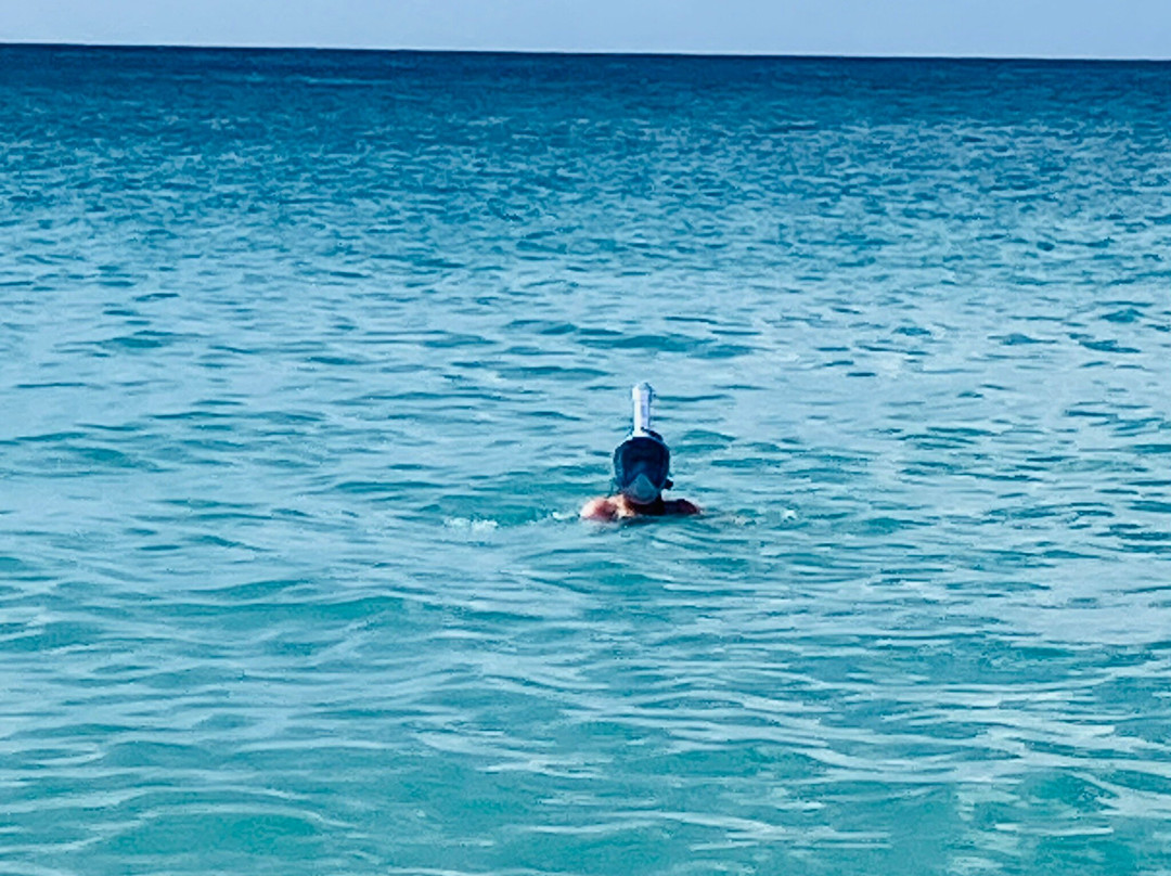 Folkestone Marine Park & Visitor Centre-Holetown必去景点