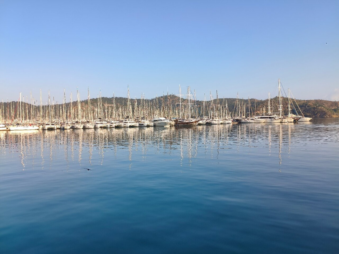 Fethiye Limanı景点图片