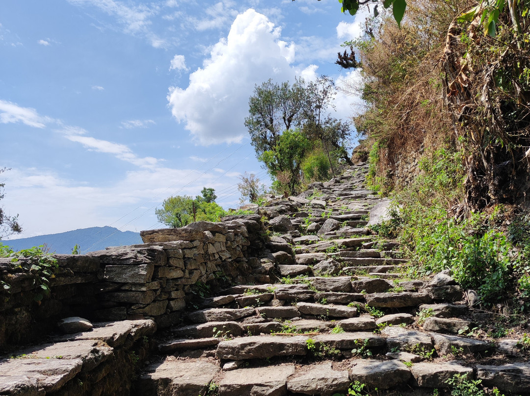 White Himalayan Adventure Treks景点图片