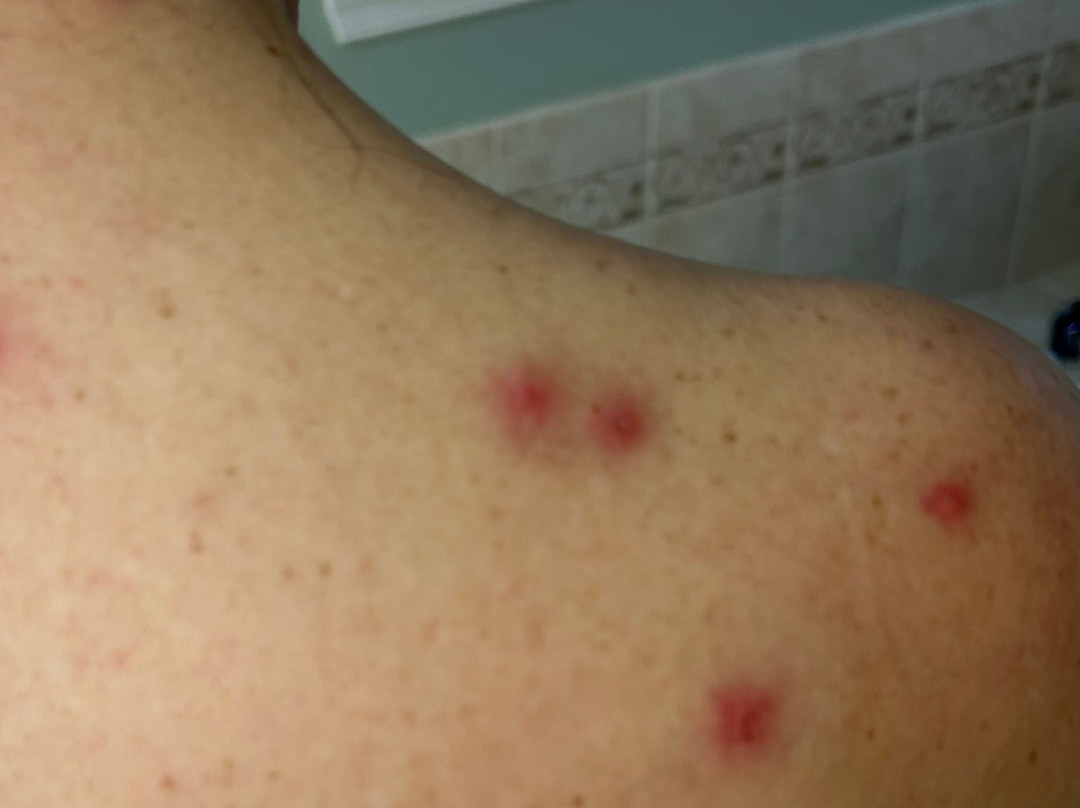 曼切斯特机场希尔顿惠庭套房酒店主图