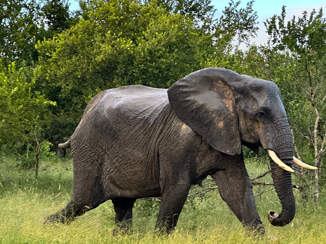 Afrika 24 Reisen-开普敦必去景点