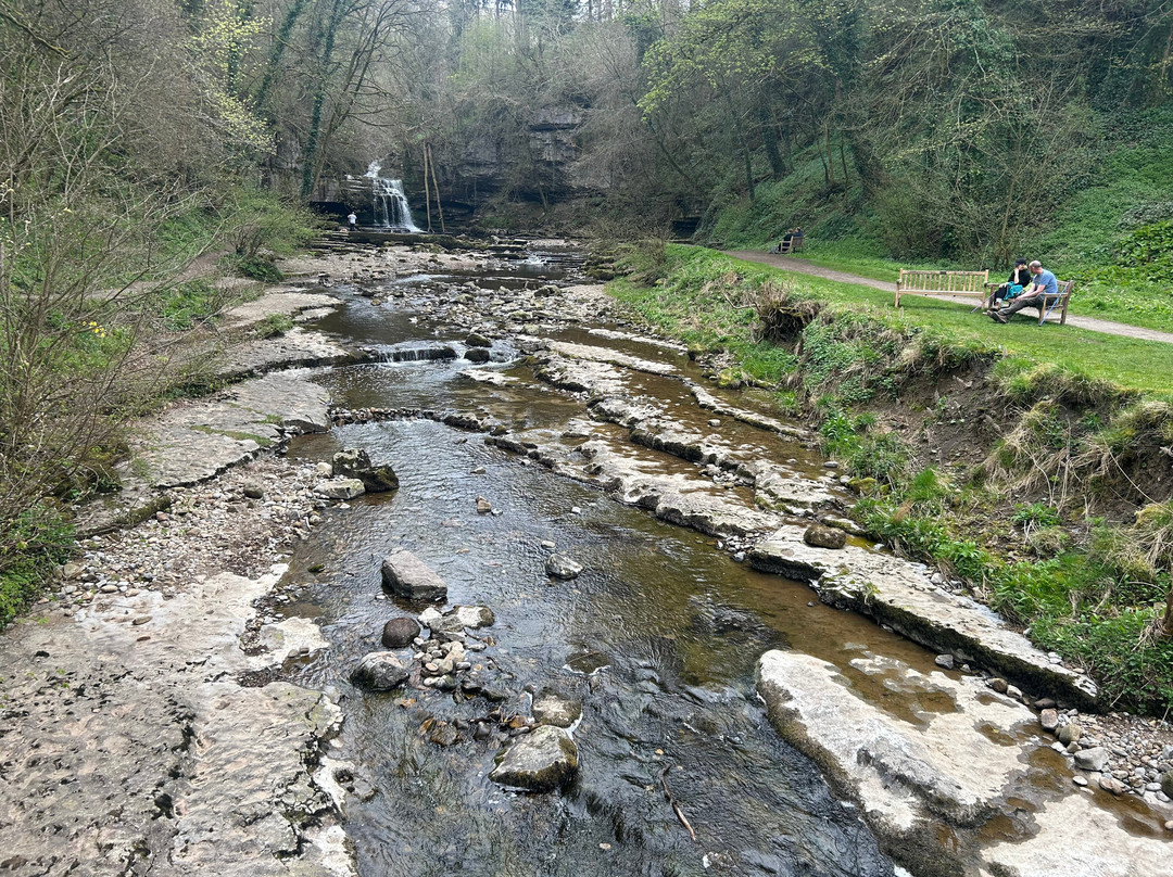 West Burton Falls景点图片