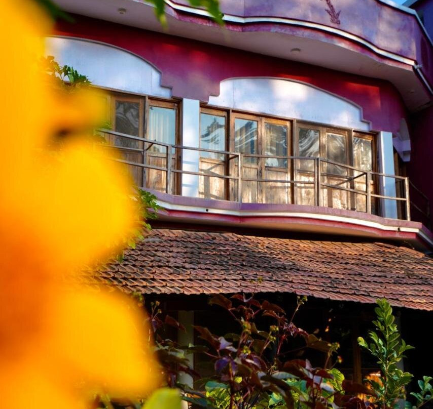 Flying Squirrel Bandhavgarh