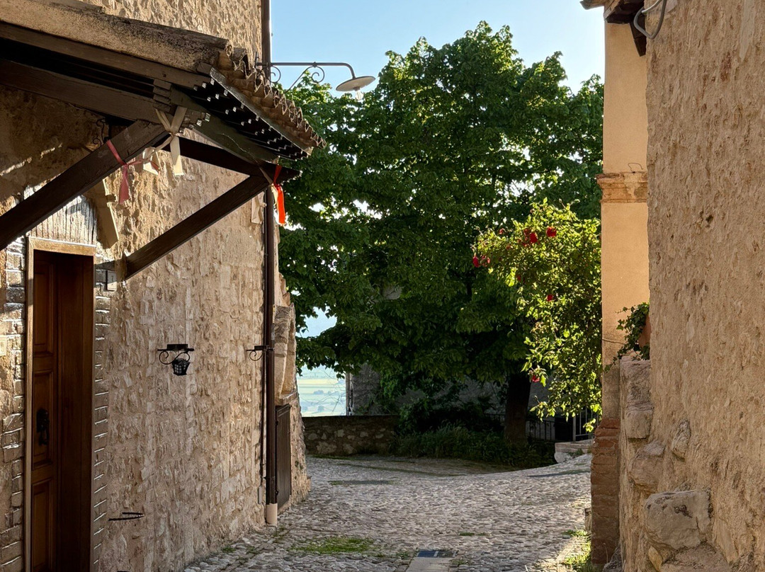 Il Castello Di Campello主图