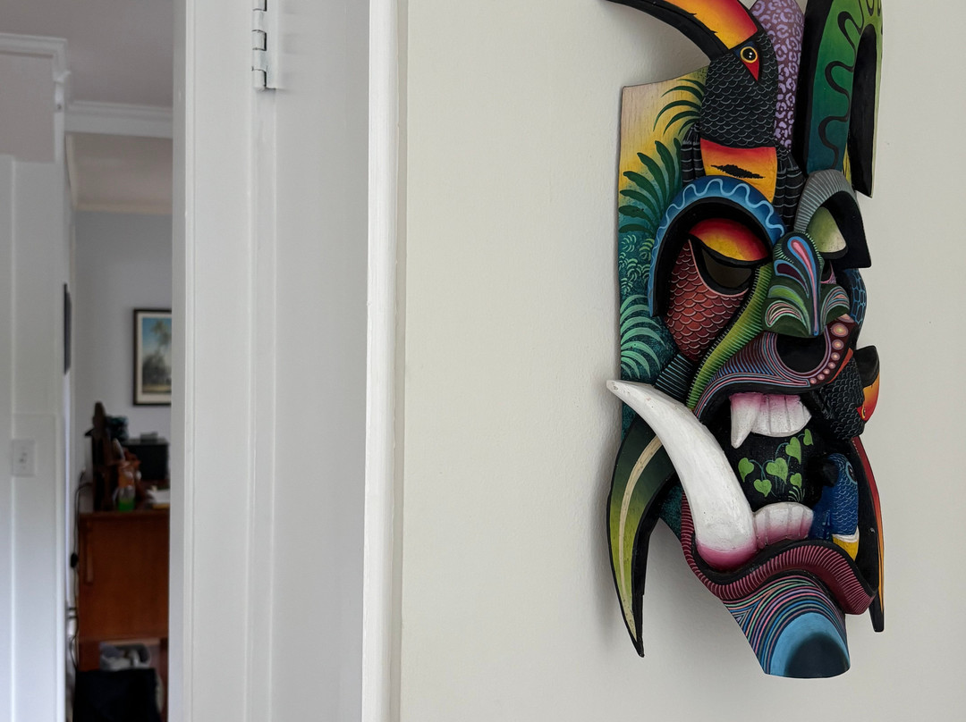 Tico Pod Art House & Gifts景点图片