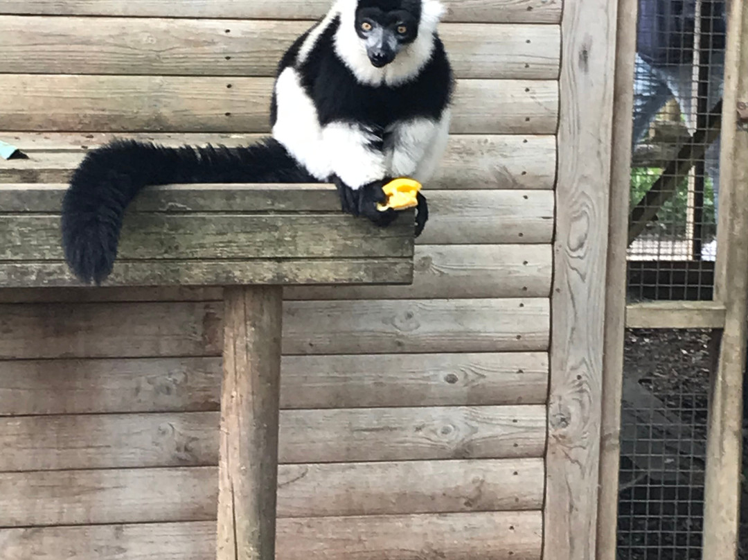 Bristol Zoo Project景点图片