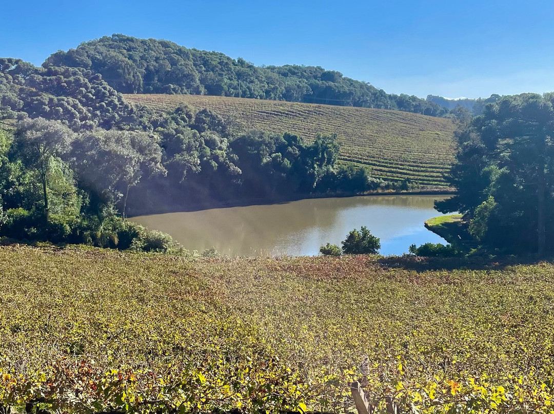 Vinicola Quinta Don Bonifacio-南卡希亚斯必去景点