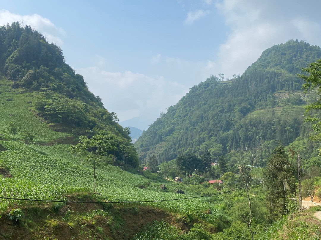 Pang Local Guide Bac Ha-Bac Ha必去景点