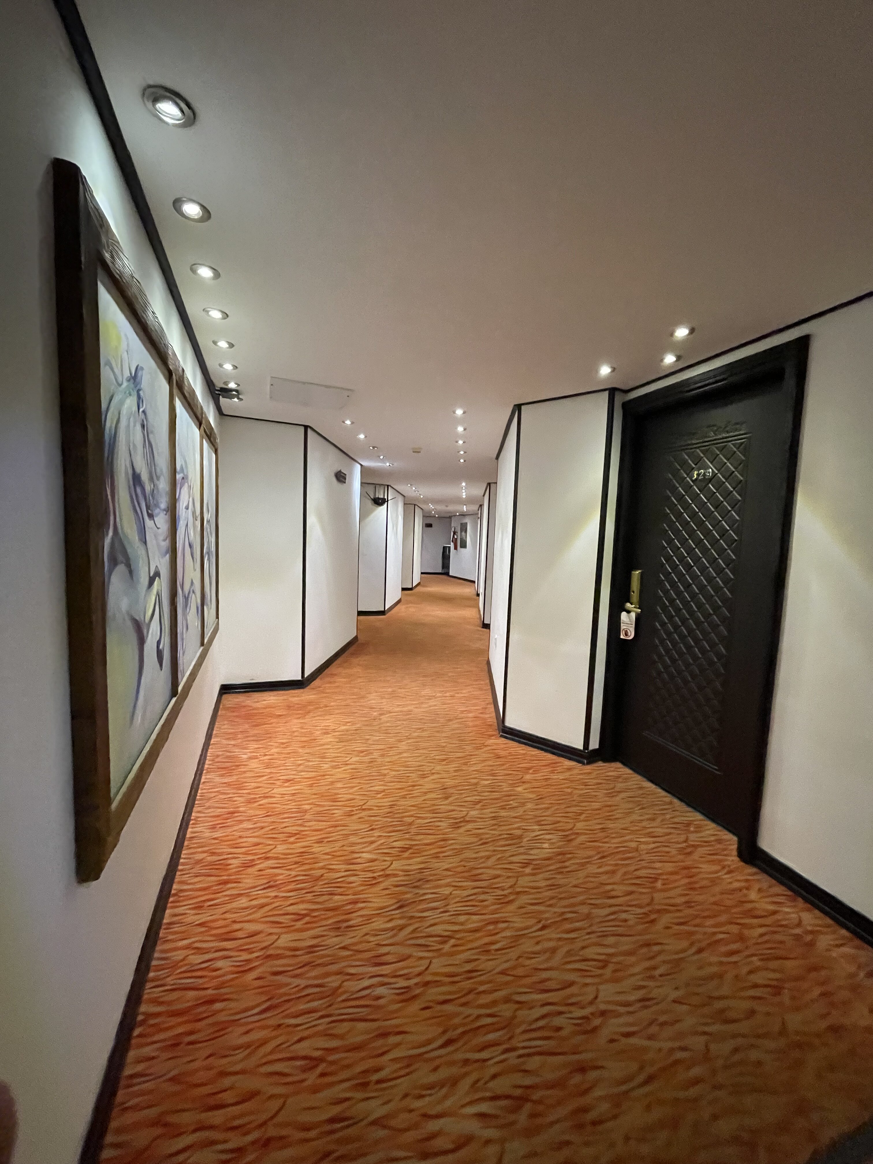 Kadus Hotel-客卧