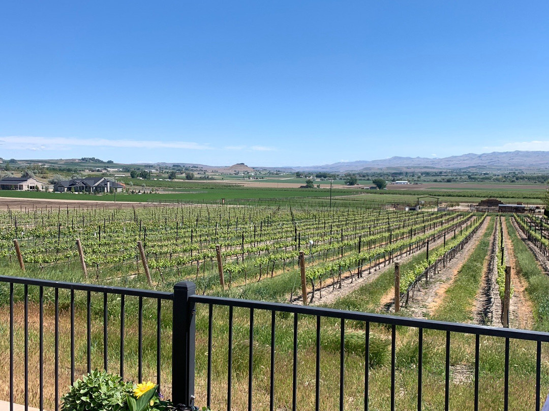 Snake River Wine Tours-Caldwell必去景点
