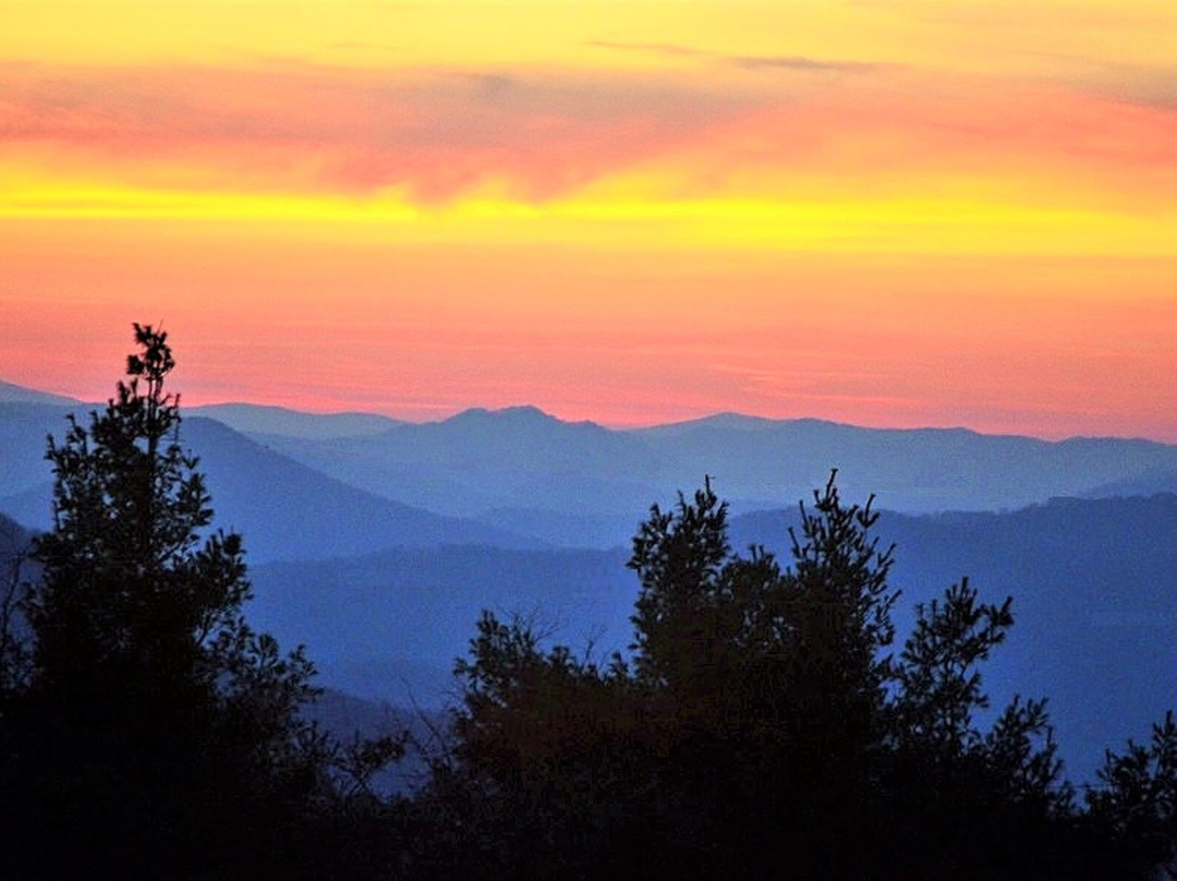 Alluring View B&b Log Cabin主图