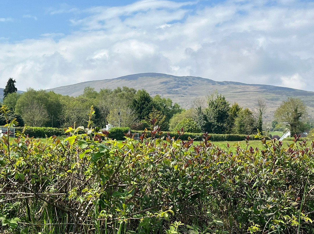 Carlingford Greenway Bike Hire-Carlingford必去景点