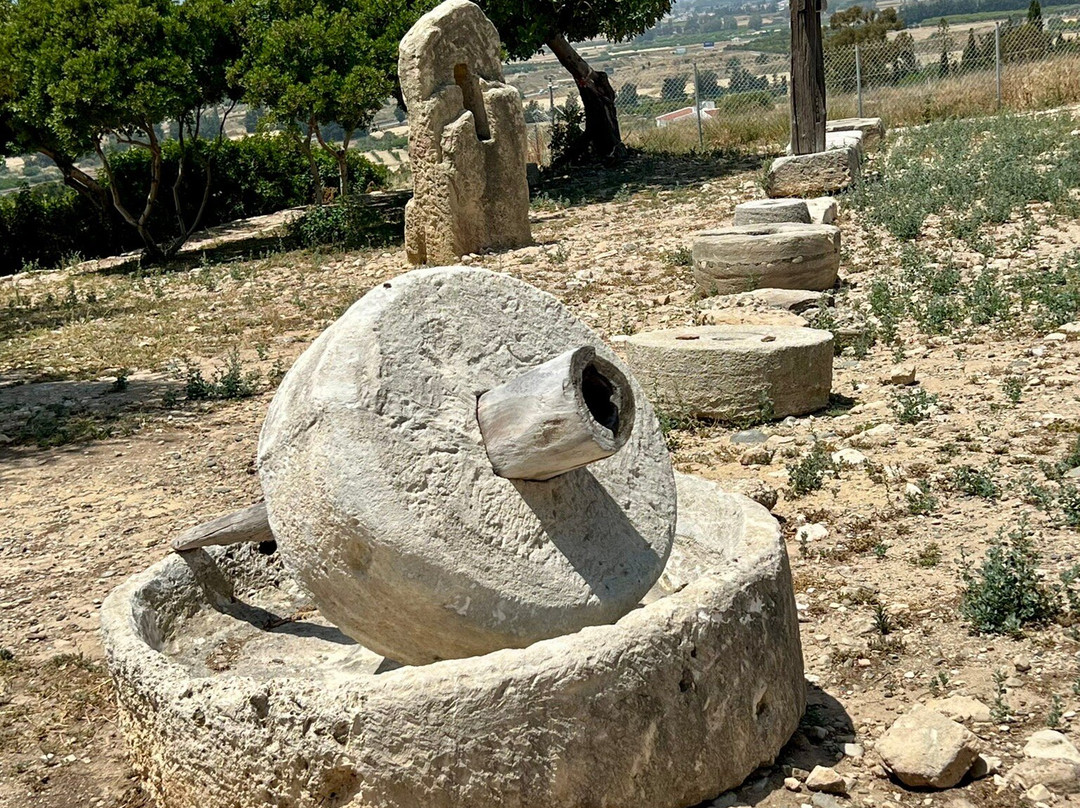 Sanctuary of Aphrodite at Palaipafos-库克利亚必去景点