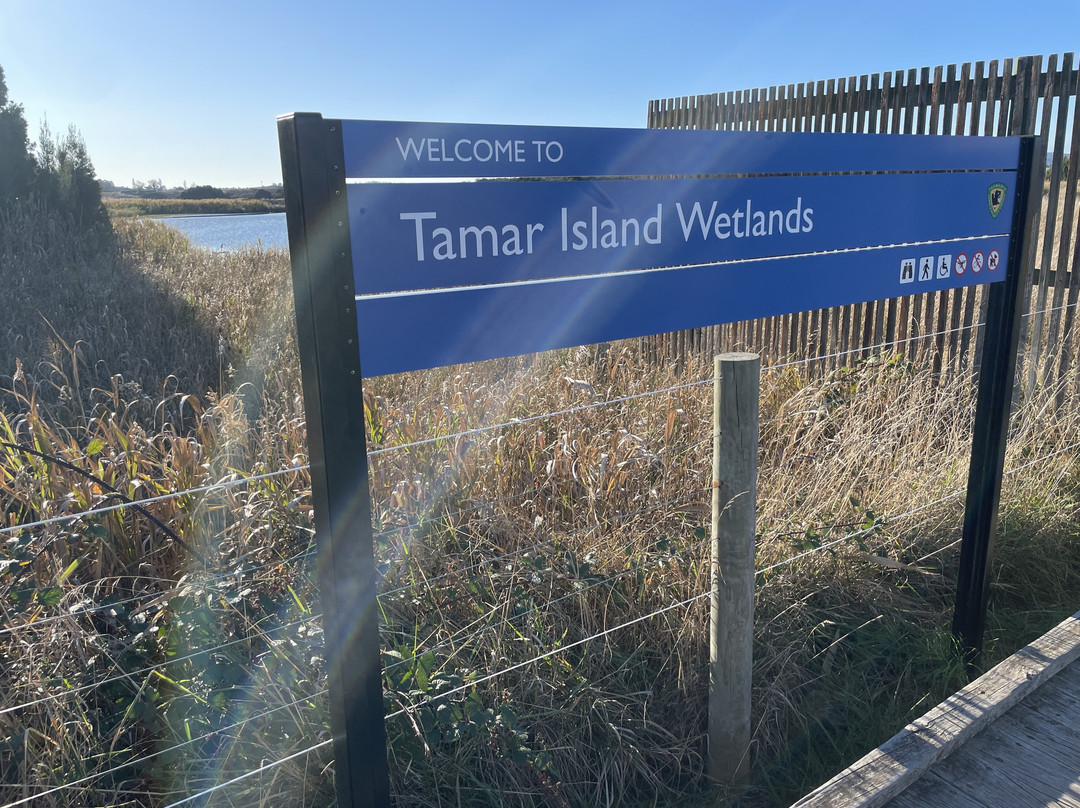 Tamar Island Wetlands景点图片