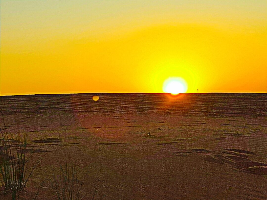 Eesa muneeb-Al Awir必去景点