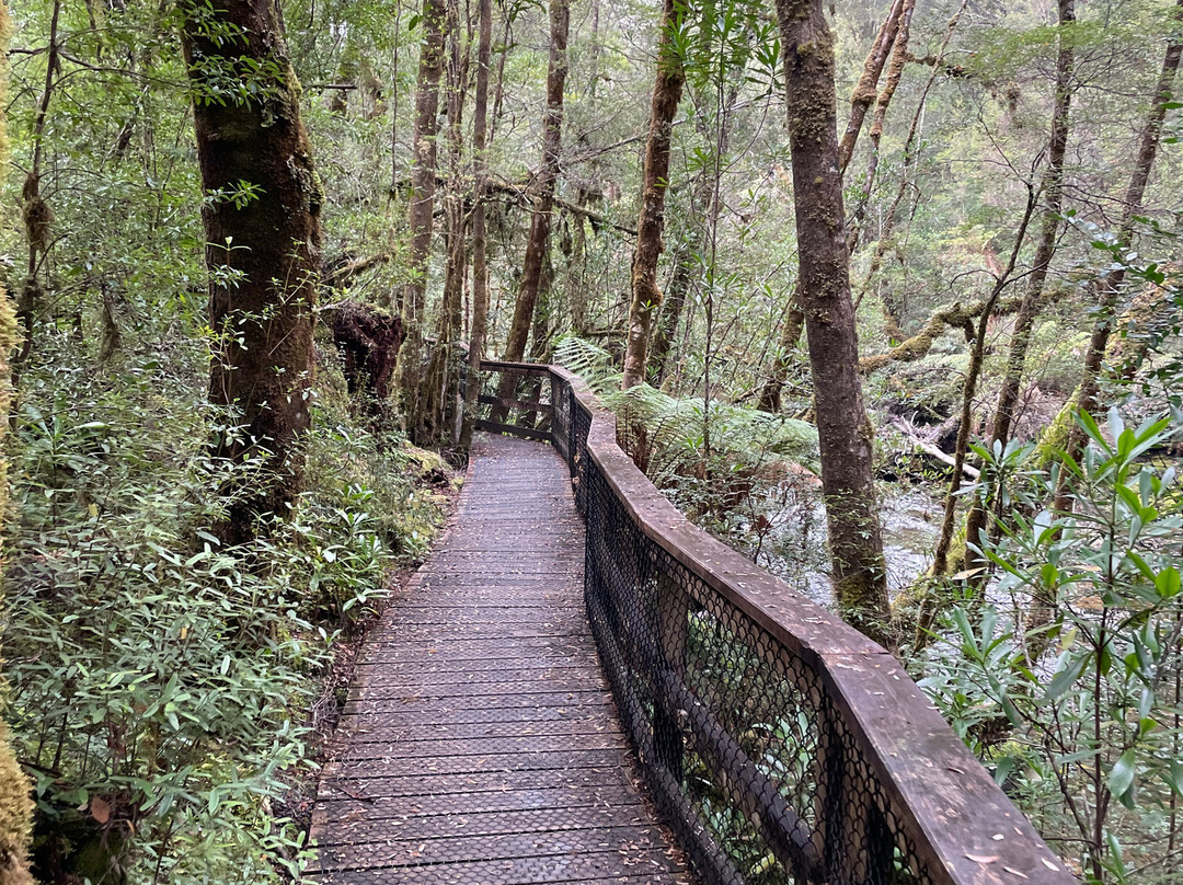 Franklin-Gordon Wild Rivers National Park-德文特桥必去景点