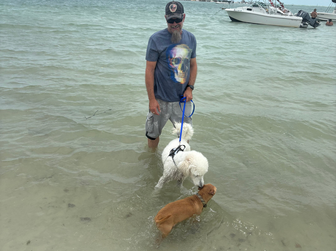 Bonita Springs Dog Park-博尼塔斯普林斯必去景点