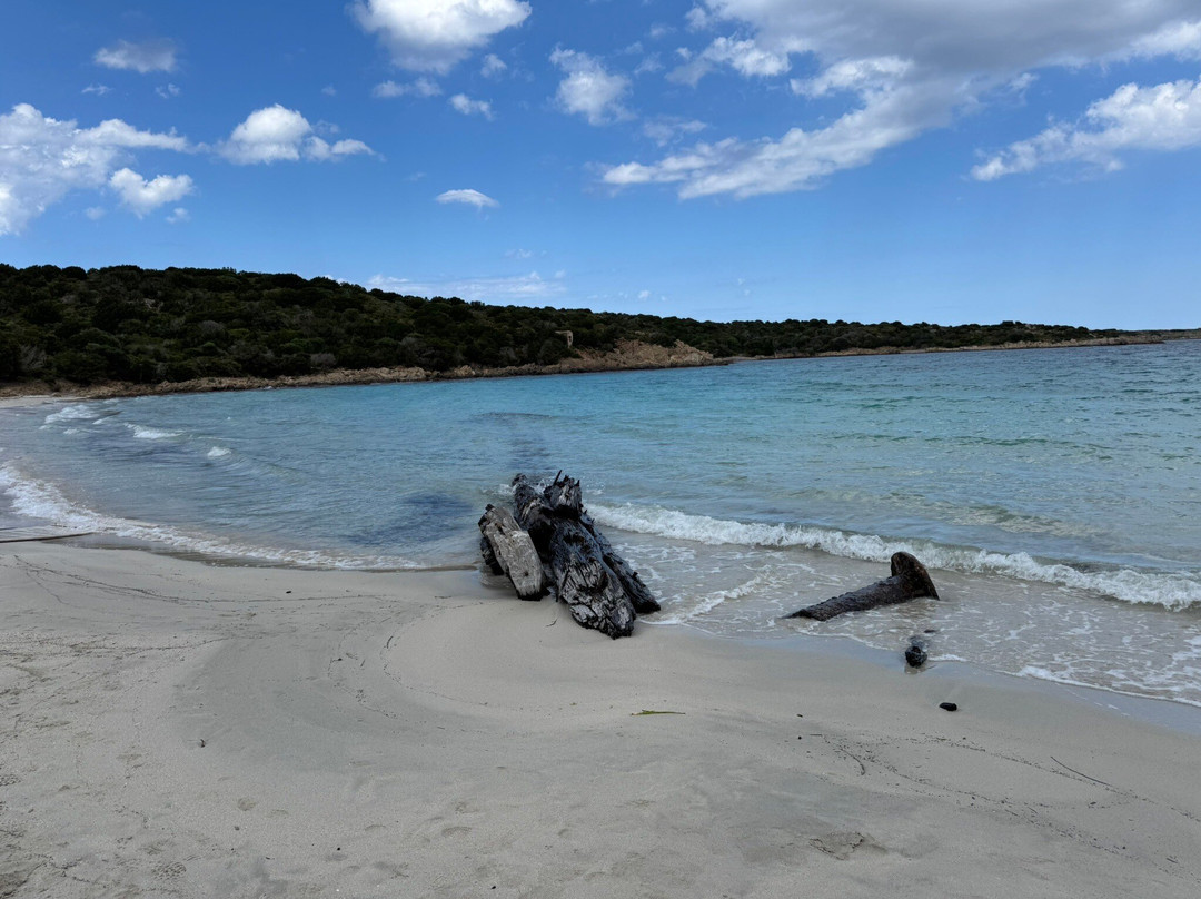 Spiaggia del Relitto-Caprera必去景点