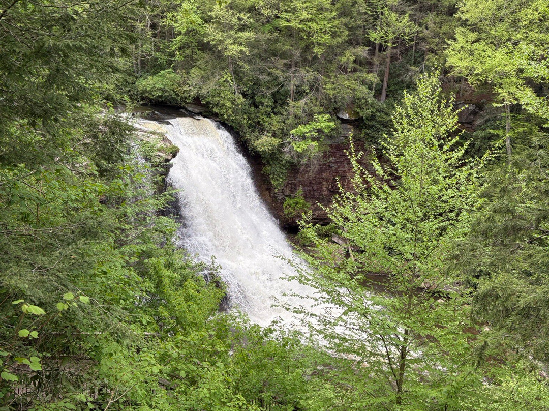 Swallow Falls State Park景点图片
