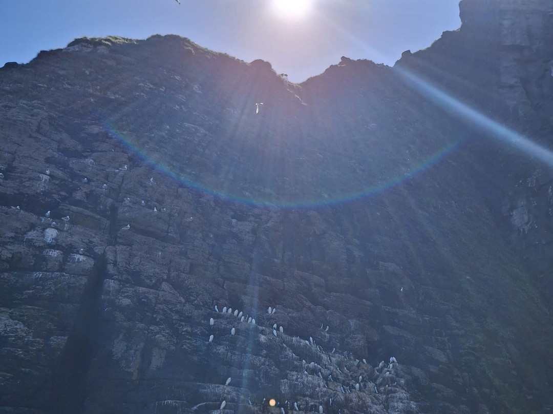 Valentia Island Sea Sports-Knightstown必去景点