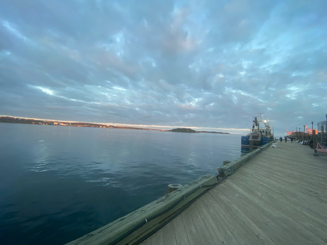 Halifax Waterfront Boardwalk景点图片