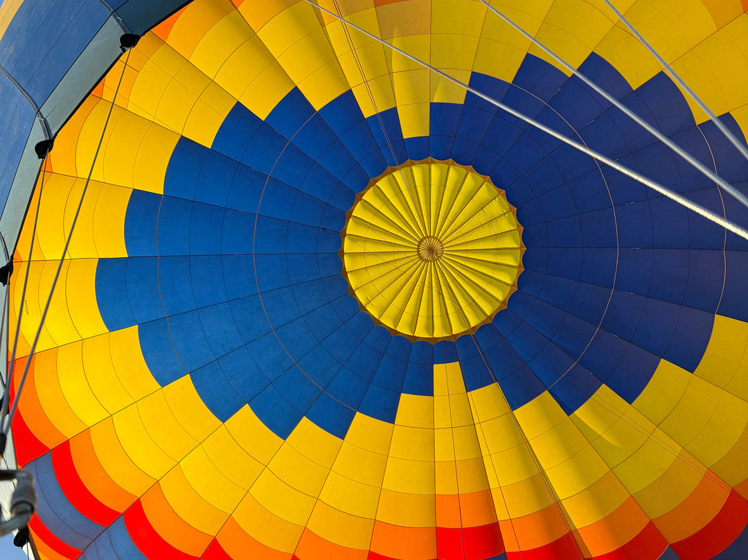 Sonoma Ballooning景点图片