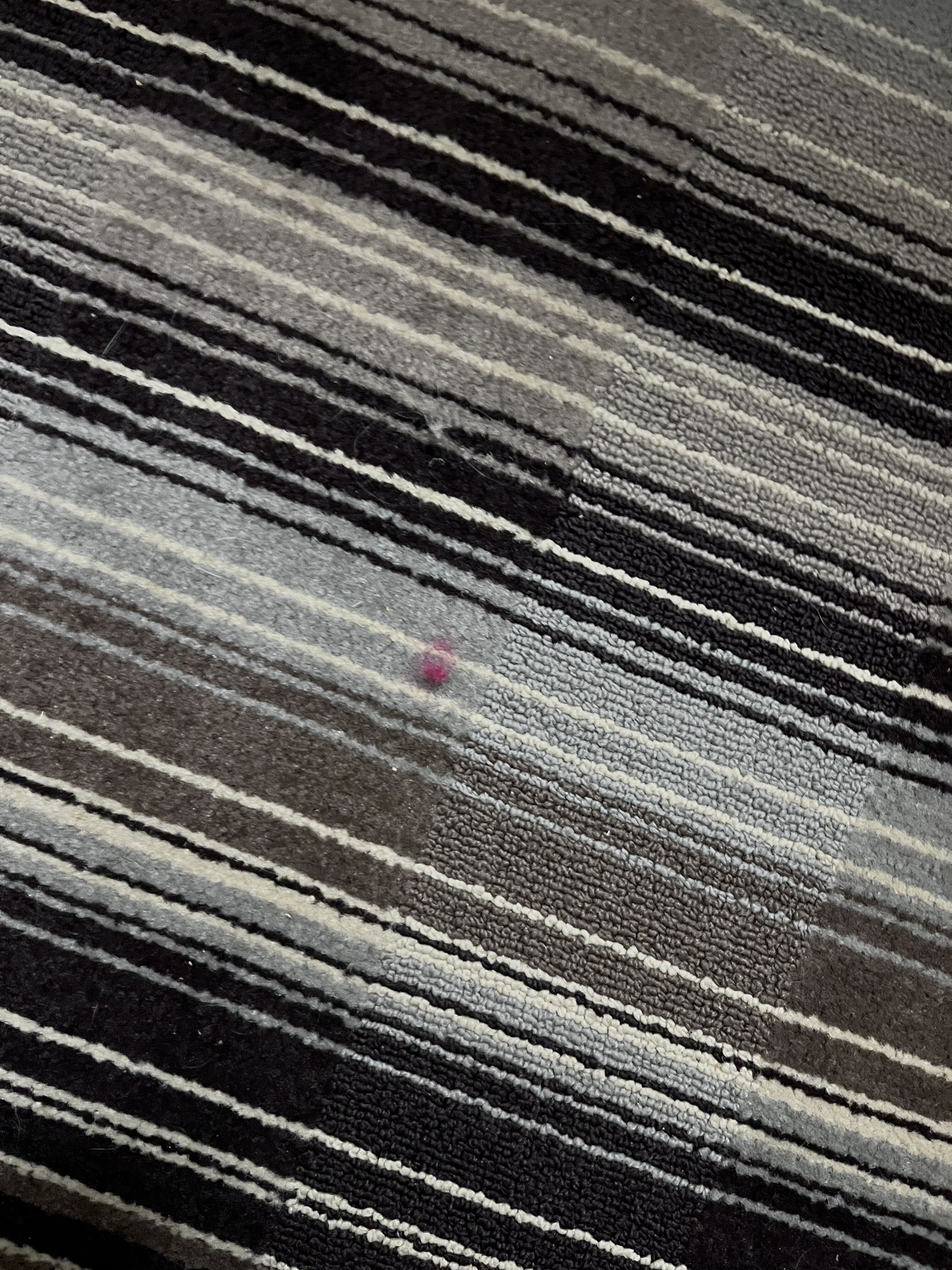 Best Western Plus Crawfordsville Hotel-客卧