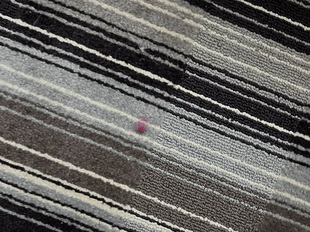 Best Western Plus Crawfordsville Hotel主图