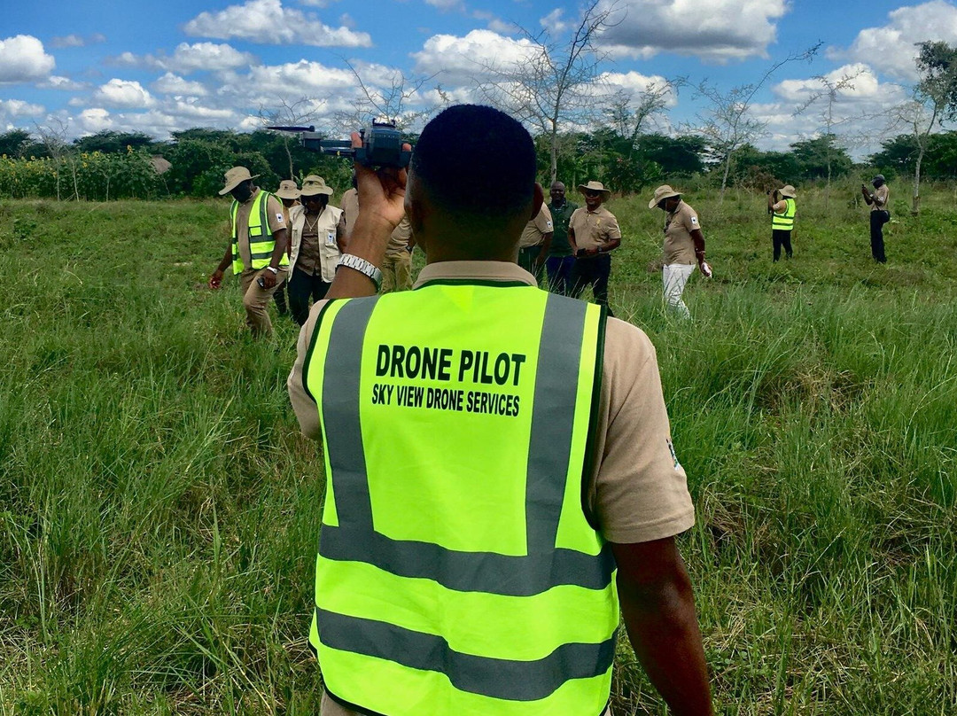 Sky  View Drone Services